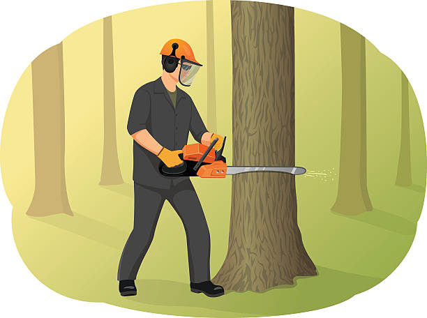 istockphoto-608621886-612x612