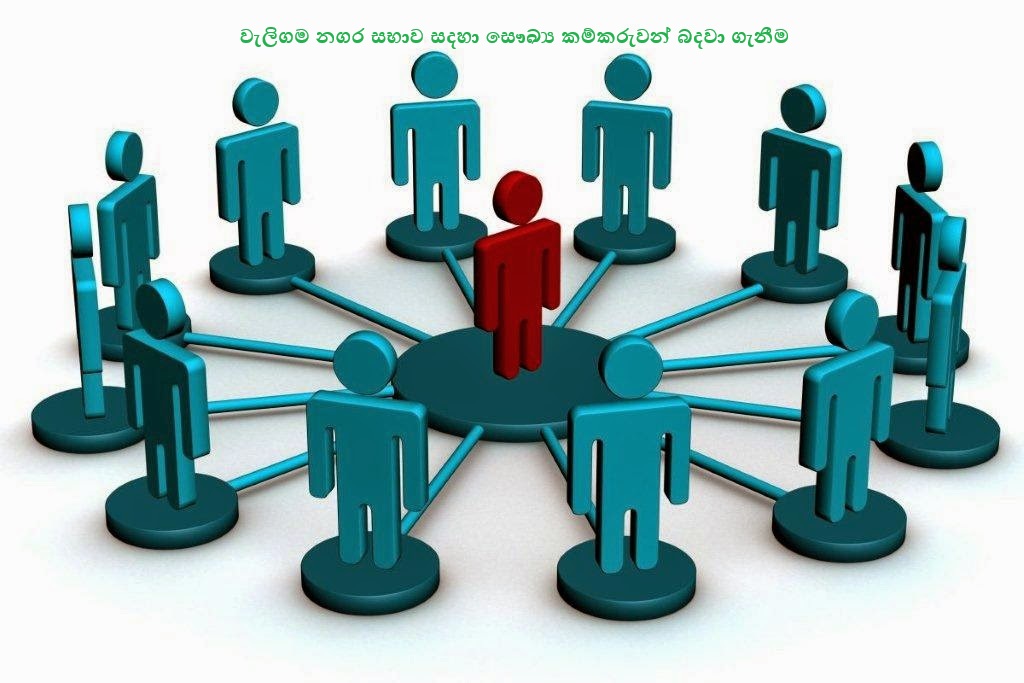 ලියාපදිංචි ආදේශක සෞඛ්‍ය කම්කරුවන් බදවා ගැනීම